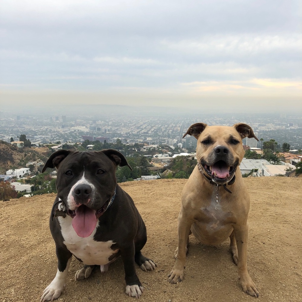 Meet your Posher, Benjamin